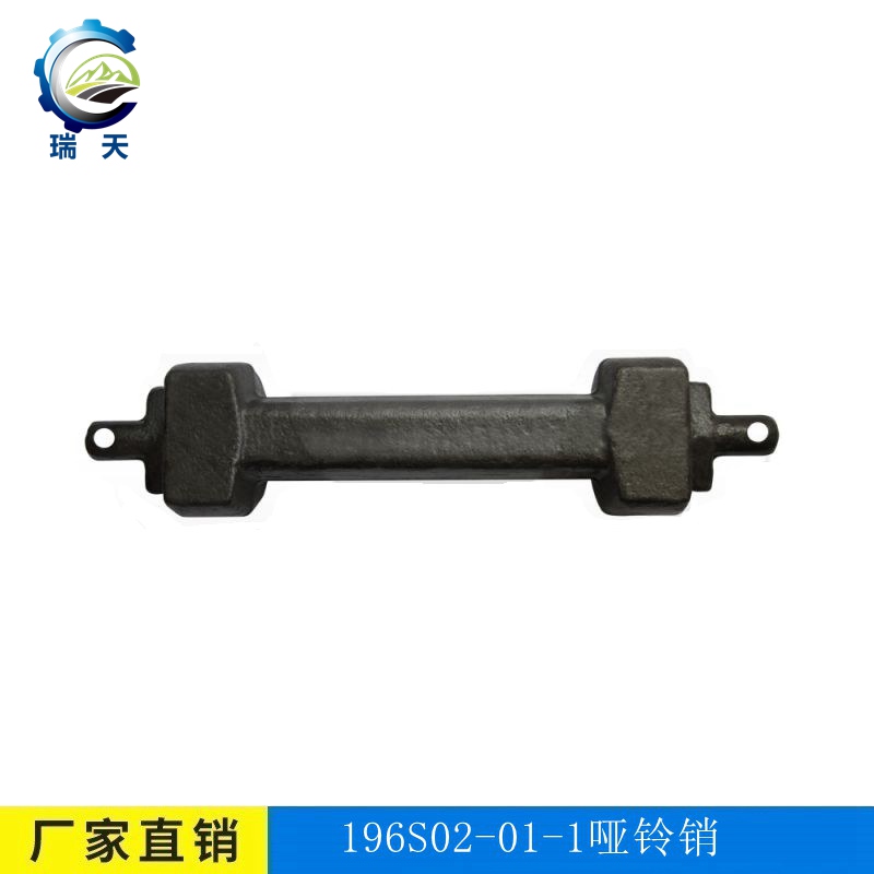 F؛V196S02/01-1N-- 
PI: