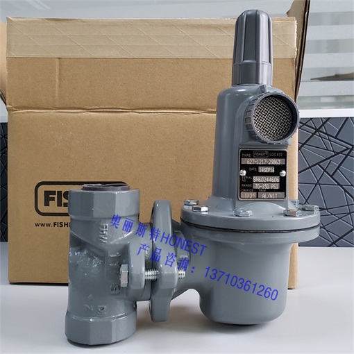 627-1217-29863DN25pyM(fi)ϣFISHERƷ 
P(gun)I:2025-01-02