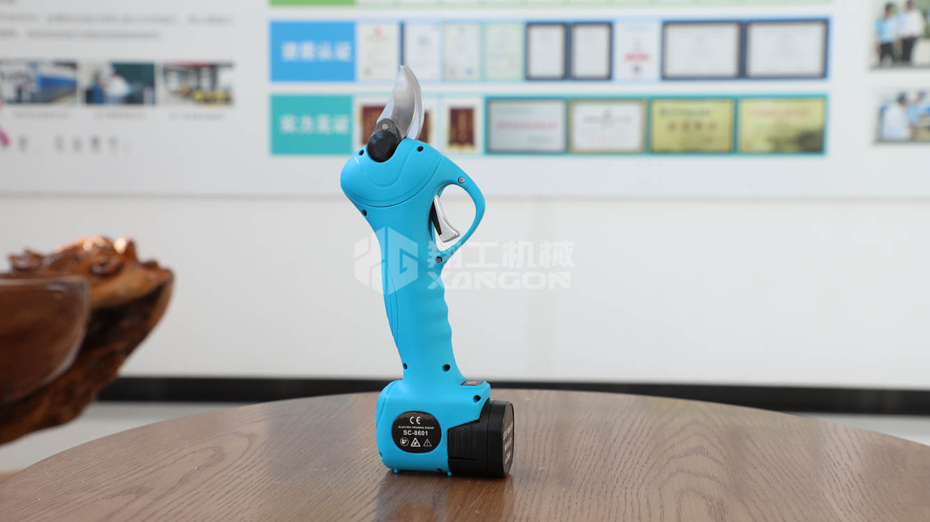 蹤2.5늄֦ 
PI: