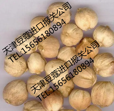 ׶ޢP˾ 
PI: