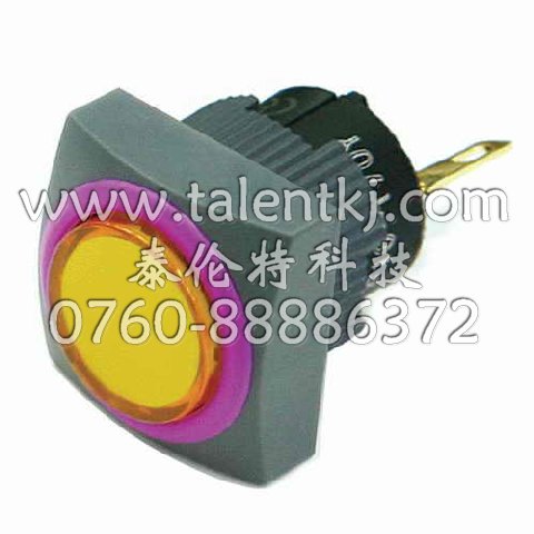 TALENT̩/ K16-931ϵ/16mmLEDĢ^o_P 
PI: