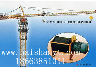 QTZ125QTZ125 Tower crane 
P(gun)I: