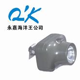  IW5110 ̑B(ti)^ 
PI: