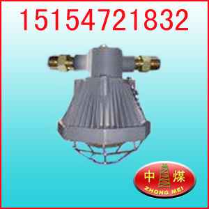 DGS18/127L 
PI: