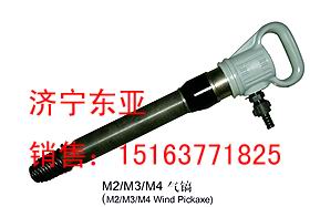 M2/M3/M4L怣G10怣CZ2LPP 
PI: