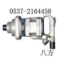 LӰAQS10 
P(gun)I: