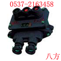 BZA10-123VøͿưŤ 
PI:2011-08-15