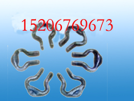 V_ʽ札h(hun)_ʽBӭh(hun)Rh(hun)Ah(hun) 
PI: