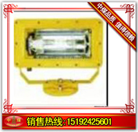 (qing)ⷺ 
P(gun)I: