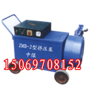 Dʽע{CZMB-2D 
PI: