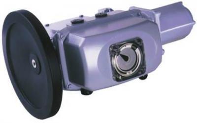 לyLEUZE 
P(gun)I: