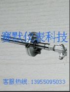 픟ża(chn)S(chng)-픟żِĬa(chn)(chung)r(ji)ֵ 
P(gun)I: