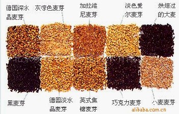 ï|(zh)˾(yng)op䓹0635-8884820 
P(gun)I: