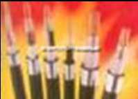 ZRN-RVϵͻ|f(wn)(yng)\(chng) (w) I(y) Ʒ|(zh) 
P(gun)I: