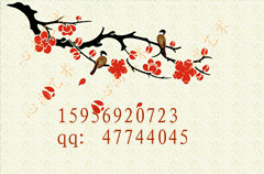Ϸʔaɰ-̼ 
PI: