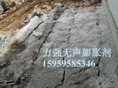 ƼloB鄩 oÛgr4006-0595-35 
PI: