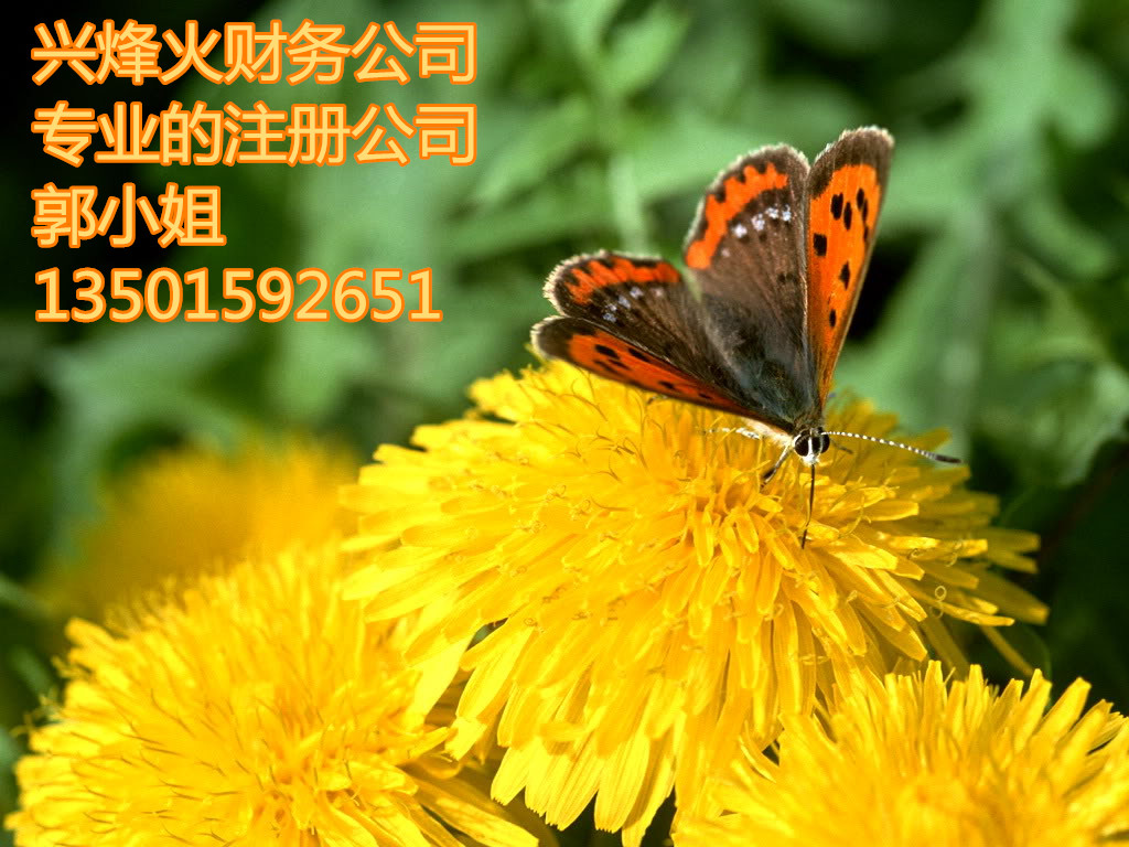 ҵFվIעԹ˾ӛ~Ոһ{ 
PI: