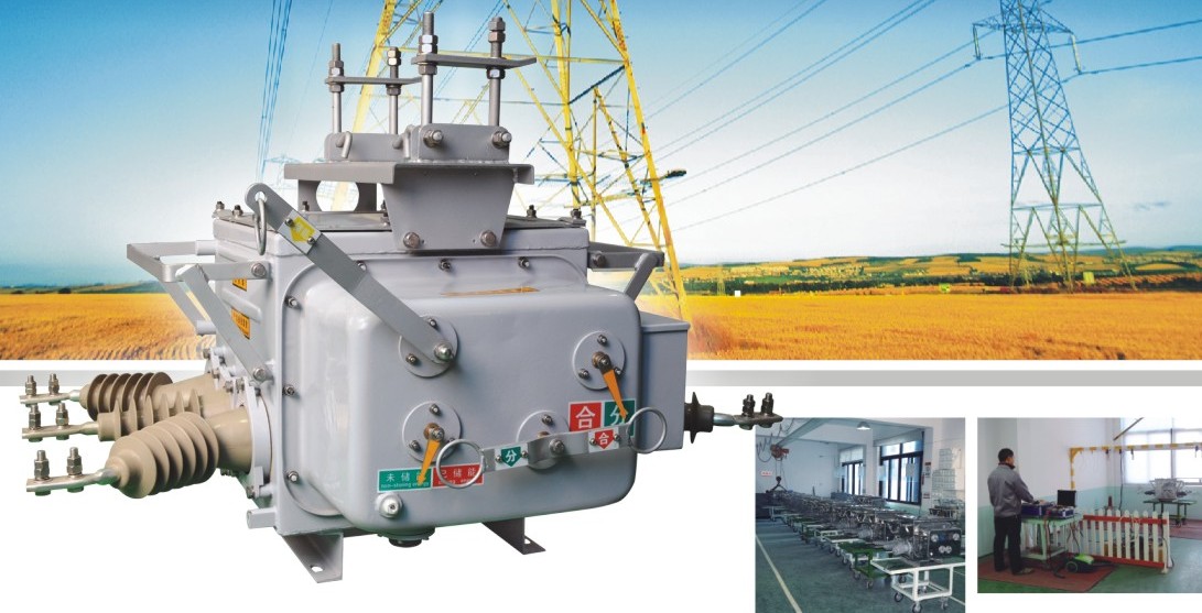 ZW20-12A/630-20T_(ki)P(gun)ZW20-12A 
P(gun)I: