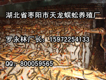 Bֳ-BֳS 15972254133 
PI: