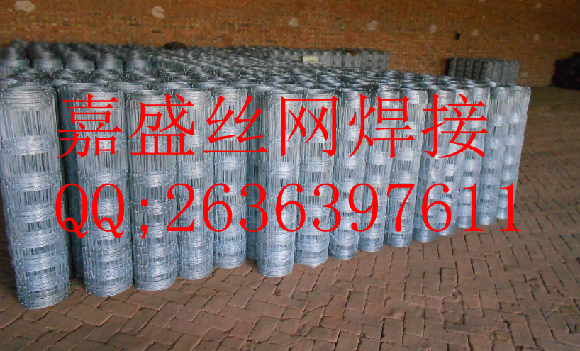 ԭţھW(wng)½ײԭW(wng)ơȦţW(wng)SҡȦţW(wng)r 
PI: