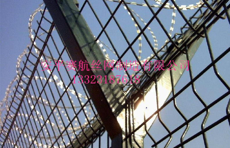 ƬKS̓rC| 
PI: