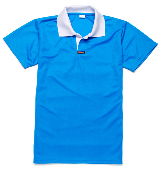 ݏSֱNAIIհTLRl ɁD 
PI: