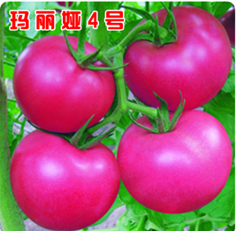 a߮aѷNӡI4̖ 
PI: