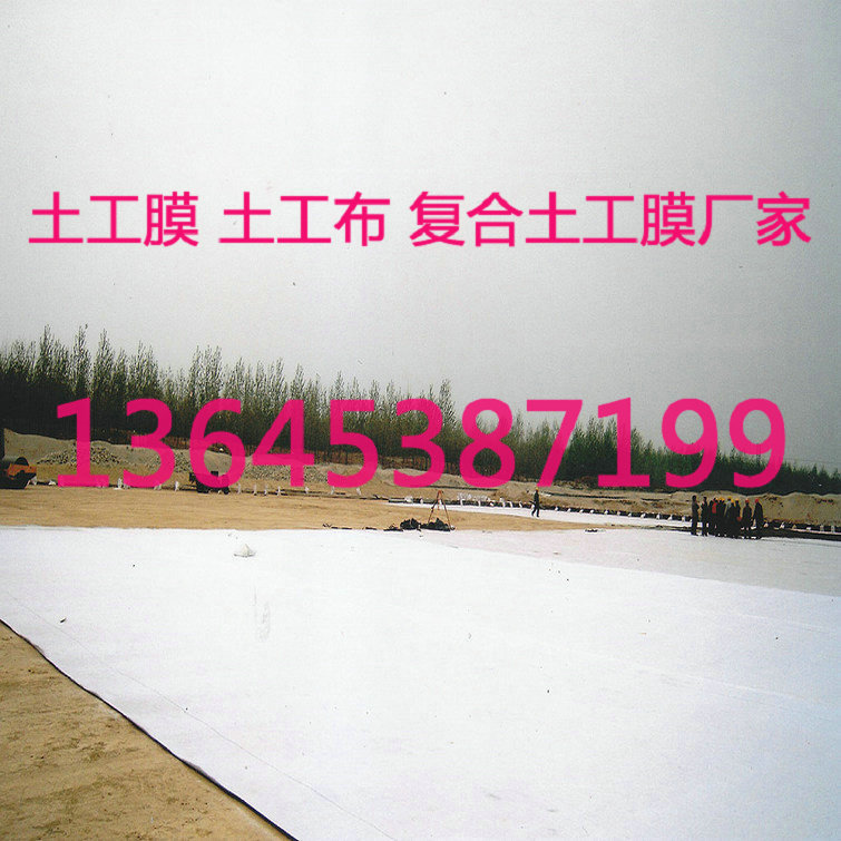 ꖏͺĤSaBͺĤB 
PI: