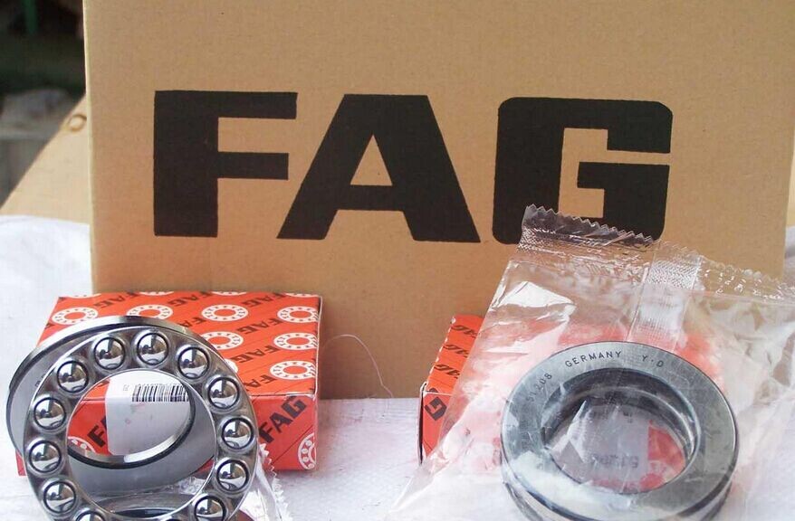 FAGSдN 
PI: