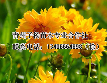 H󻨽uĂa̺ 
PI: