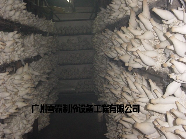 Դr찲b ѩ칝ܭh Ʒ|бC 
PI:
