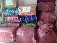 ϺL;021-59110183 
PI: