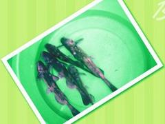 ˮa(chn)~r(ji)񷶇|(yu)|(zh)ˮa(chn)~Ј(chng)r(ji)r 
P(gun)I: