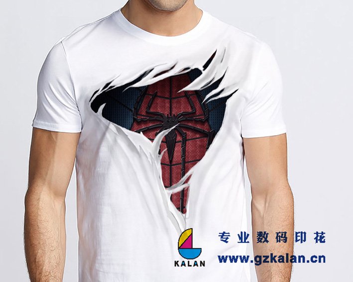 _ӇLV݇3DT 
PI: