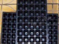ЧrIƷُ]õrIƷُ 
PI: