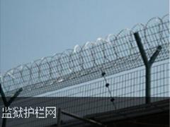 zW(wng)Ʒ(yng)(yu)|(zh)С^(q)o(h)ھW(wng)䓲  Ʒ|(zh)õС^(q)o(h)ھW(wng) 
P(gun)I: