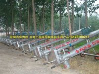 iμSCS iμSCr uķ 
P(gun)I: