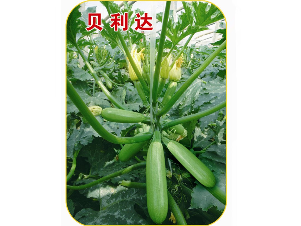 紺NֲڸкɫGԺJNӡ۹fʢNI 
PI: