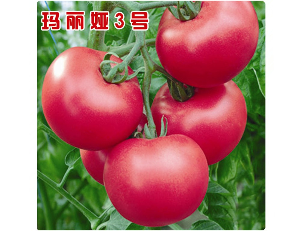 ڸкӲȺ÷۹ѷNӡfʢNI 
PI: