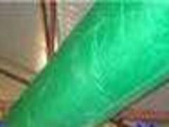 LtL@LtLr@@S@@ꖹؿOS 
PI: