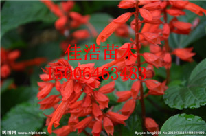 һtlأֵһtЈr 
PI: