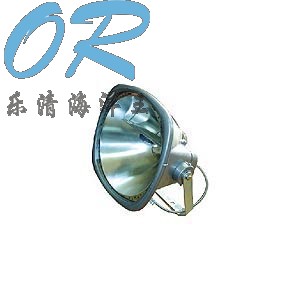 NTC9221(chng)(qing)Ͷ 
P(gun)I: