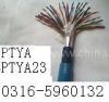 ̖|PZYA23 PTYAH  PTYA  PZYA  PTYV 
PI: