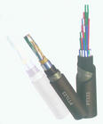 F·̖| 
PI: