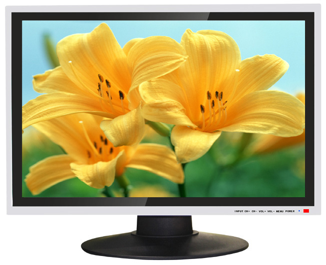 DVDҺҕ 
PI: