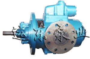 SNFݗUݗUãpݗUCͱжͱ 
PI: