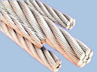 P䓽zK304P䓽zK316P䓽zK202P䓽zK 
PI: