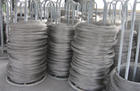 202P䓏ɾ302P䓏ɾ316P䓏ɾ 
PI: